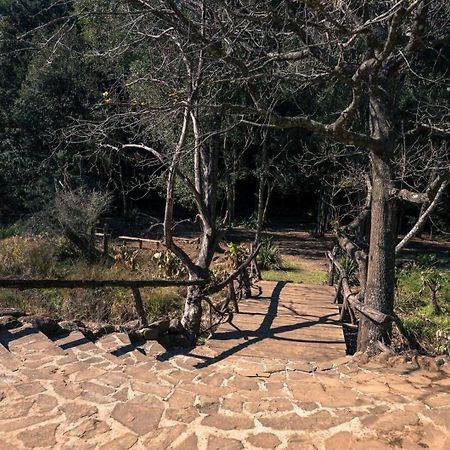 Anew Resort Ingeli Forest Kokstad 科克斯塔德 外观 照片
