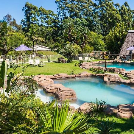 Anew Resort Ingeli Forest Kokstad 科克斯塔德 外观 照片