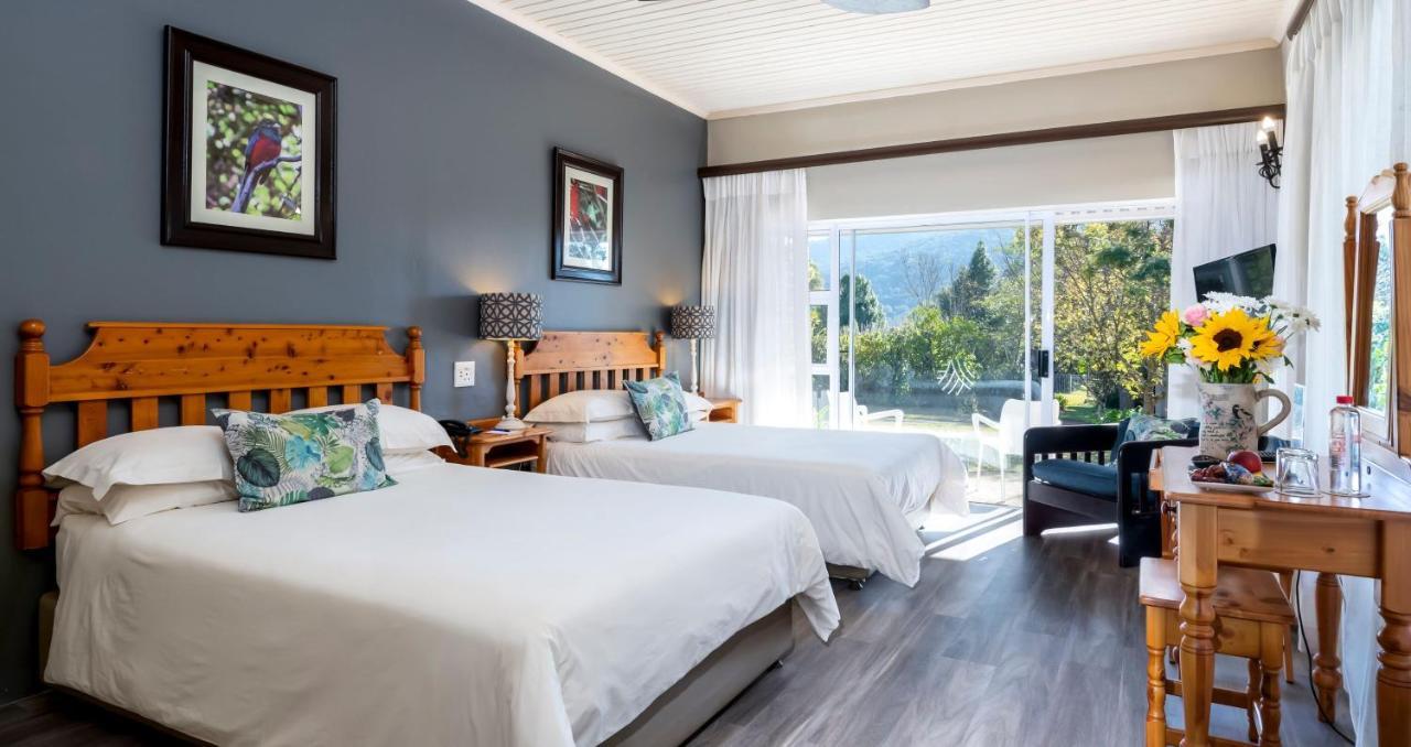 Anew Resort Ingeli Forest Kokstad 科克斯塔德 外观 照片