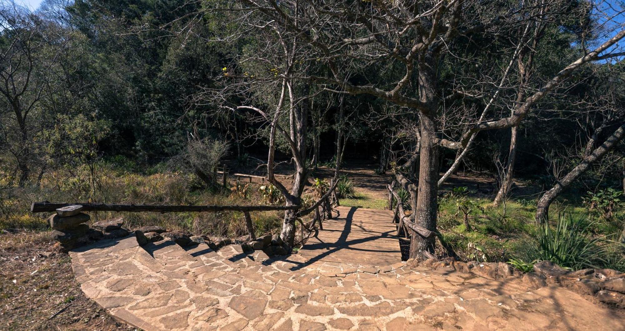 Anew Resort Ingeli Forest Kokstad 科克斯塔德 外观 照片