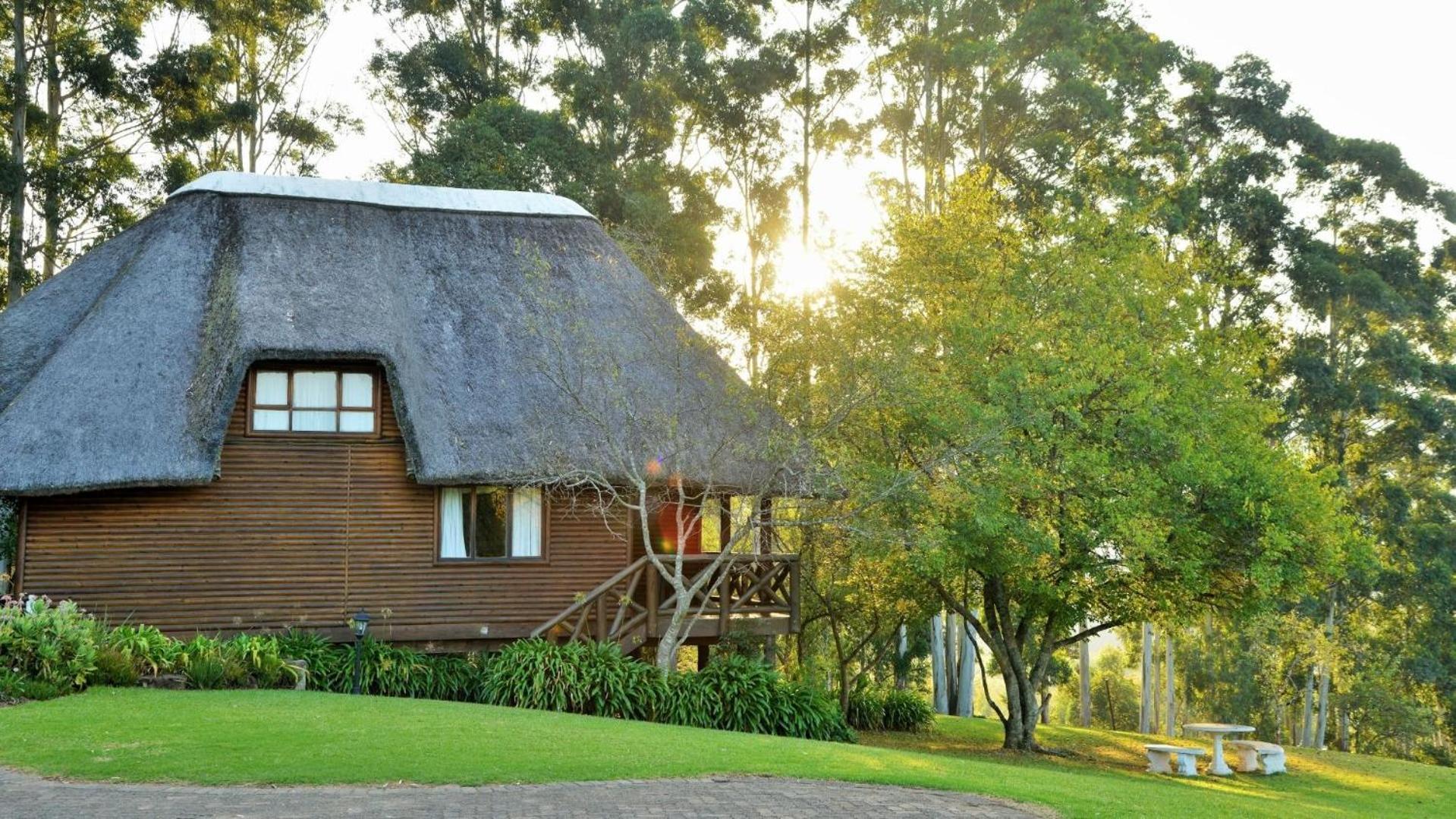 Anew Resort Ingeli Forest Kokstad 科克斯塔德 外观 照片